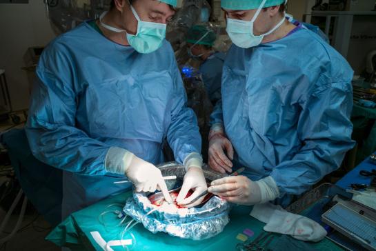 niertransplantatie