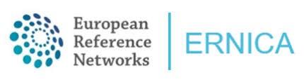 ERN Ernica - logo