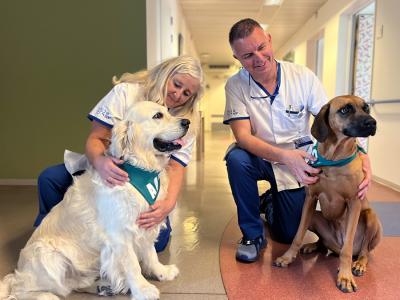 honden Kinaï en Oona poseren op de Palliatieve eenheid