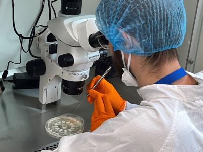 onderzoeker kijkt door een microscoop